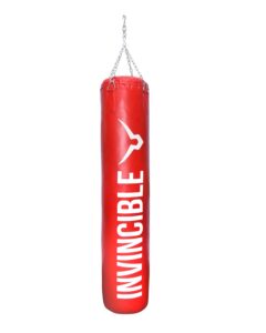 Top 5 Best Punching Bags in India