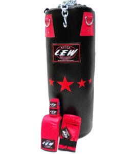 Top 5 Best Punching Bags in India