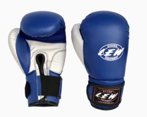 Top 8 Best Boxing Gloves in India