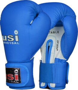 Top 8 Best Boxing Gloves in India